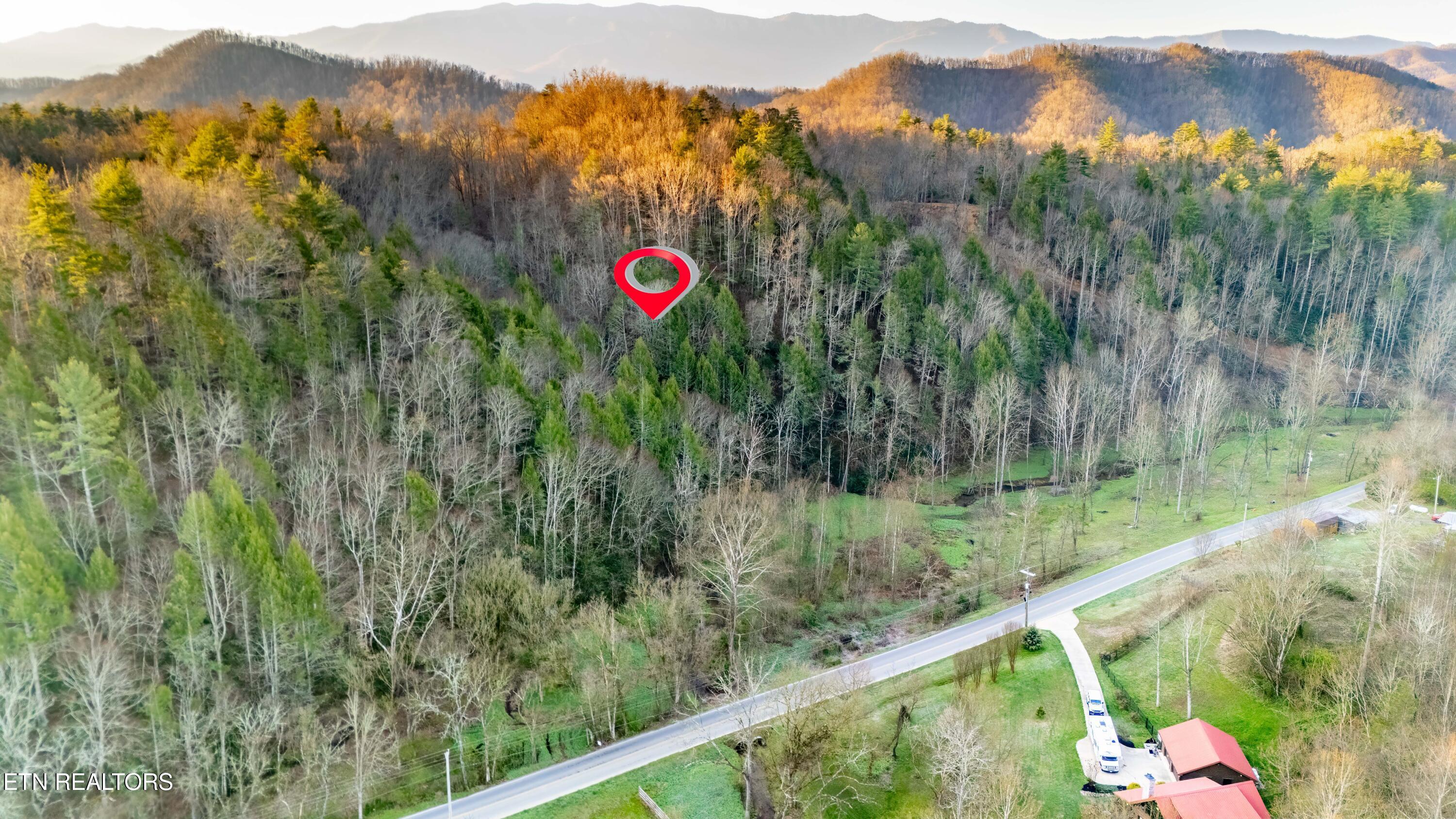 Bogard Road Cosby, TN 37722 - Photo 3 of 19 DJI_20260320081602_0584_D-HDR-Edit-Edit