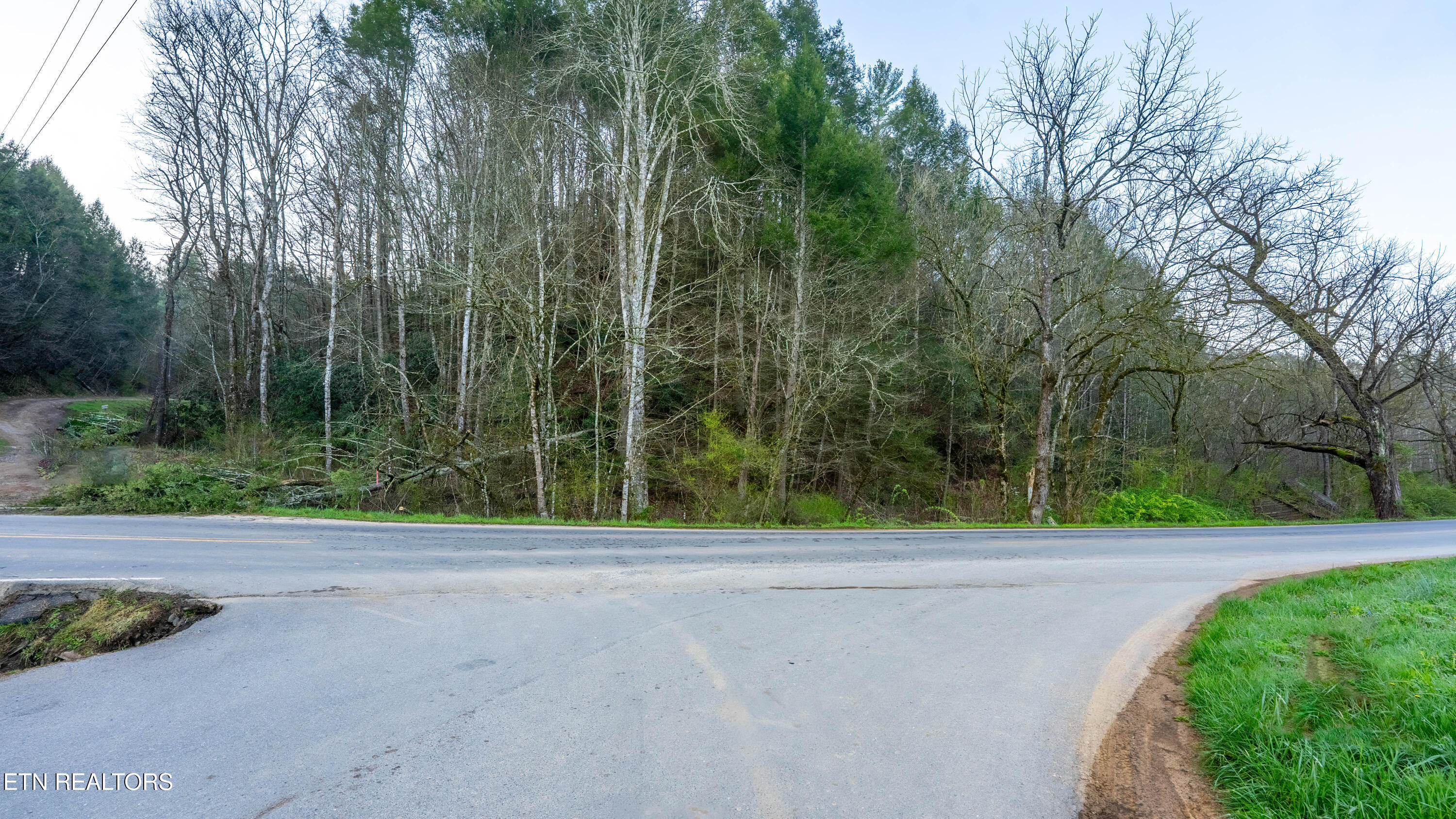 Bogard Road Cosby, TN 37722 - Photo 4 of 19 _DSC0014-HDR-Edit-Edit