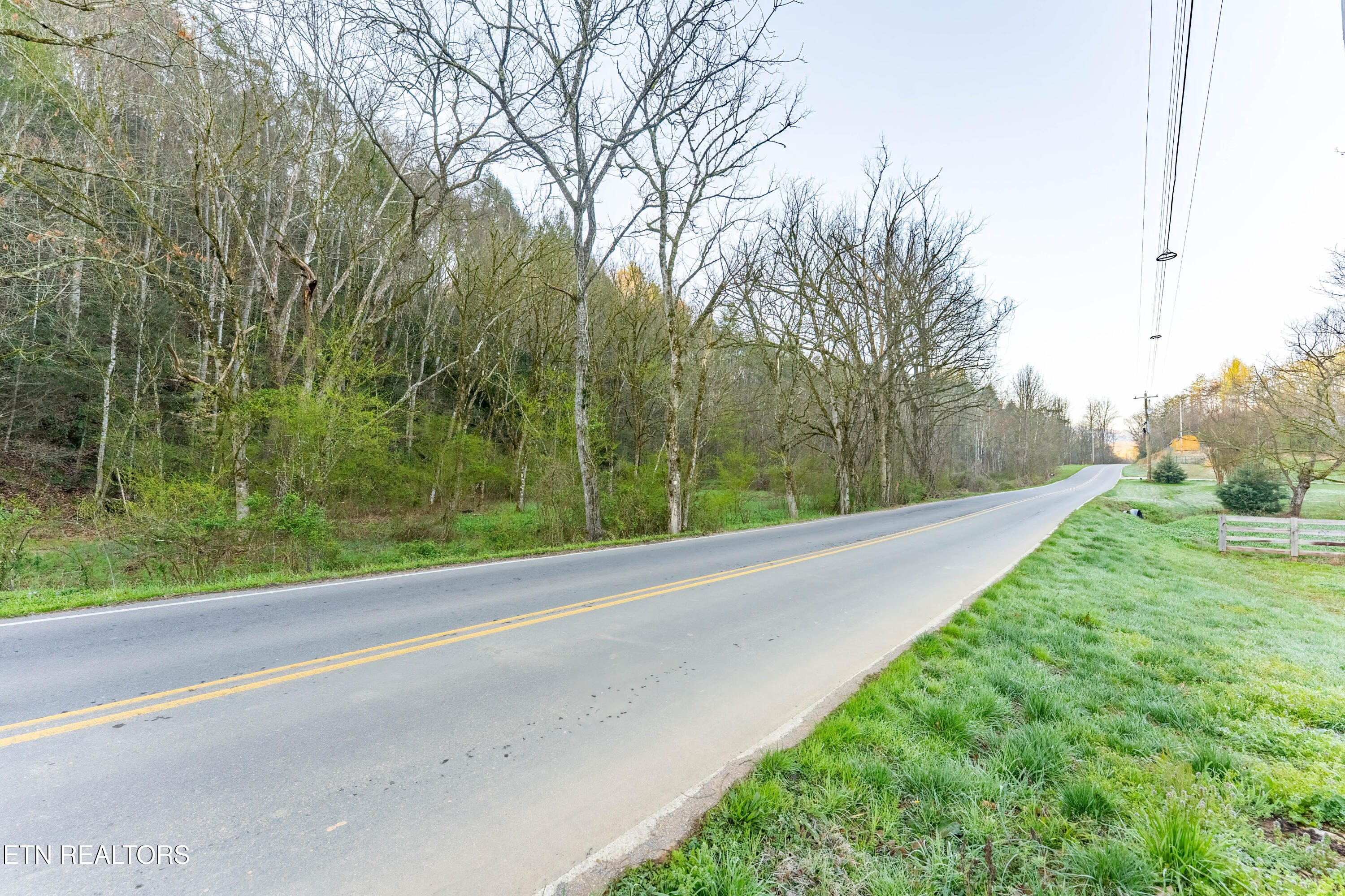 Bogard Road Cosby, TN 37722 - Photo 5 of 19 _DSC0029-HDR-Edit
