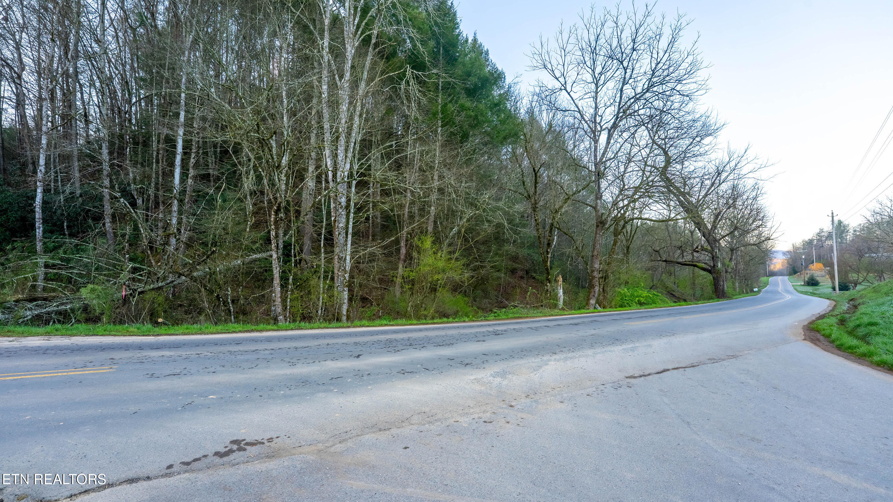 Bogard Road Cosby, TN 37722 - Photo 6 of 19 _DSC0011-HDR-Edit