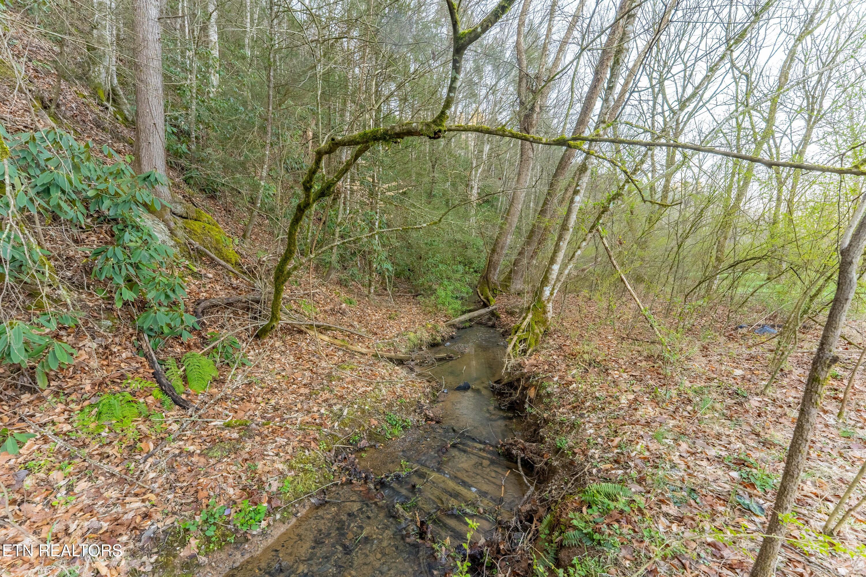 Bogard Road Cosby, TN 37722 - Photo 8 of 19 _DSC0035-HDR-Edit