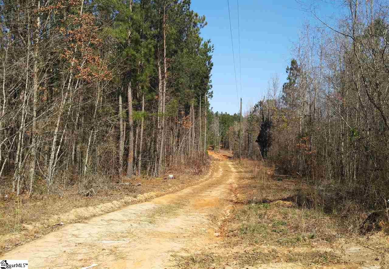 575 Billy Leopard Road Cross Hill, SC 29332 - Photo 1 of 32 Gallery Image 1