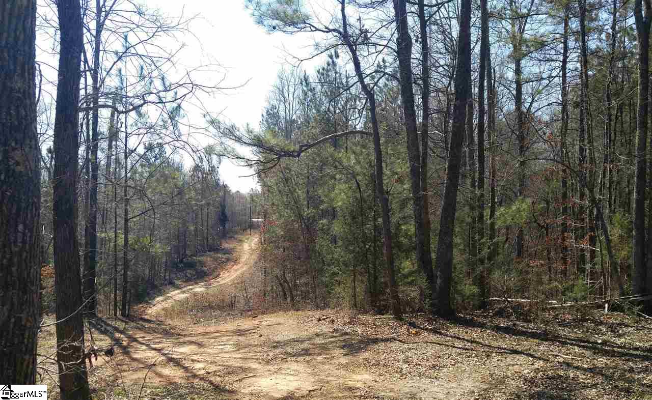 575 Billy Leopard Road Cross Hill, SC 29332 - Photo 14 of 32 Gallery Image 14