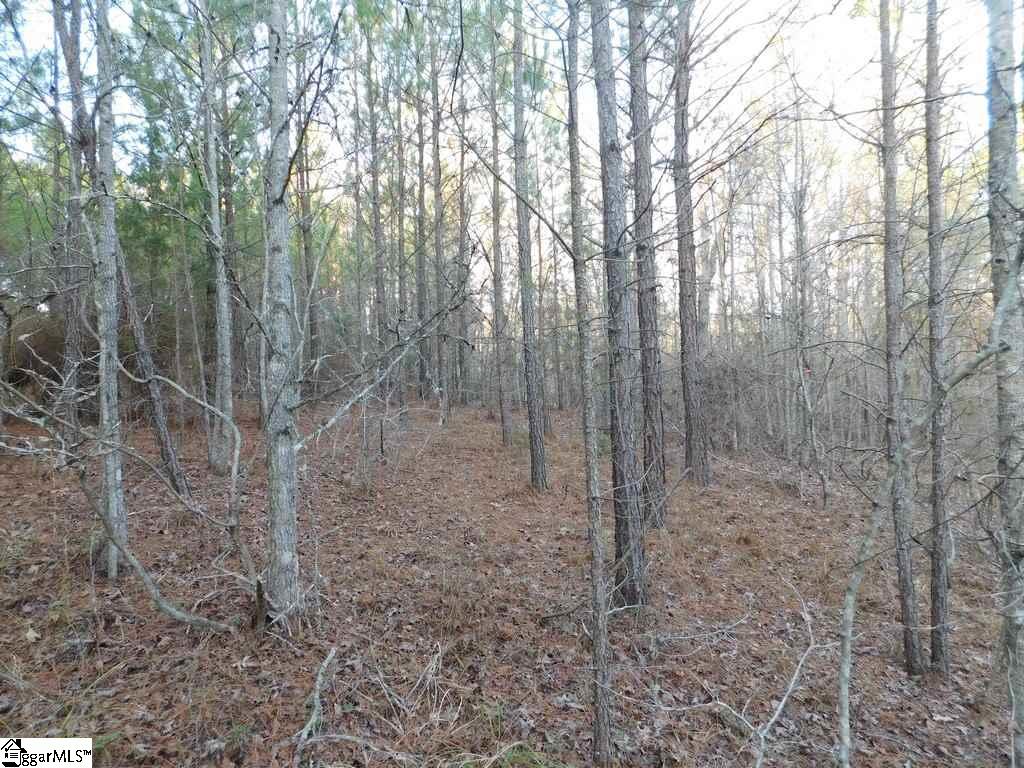 575 Billy Leopard Road Cross Hill, SC 29332 - Photo 22 of 32 Gallery Image 22