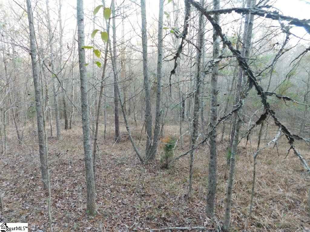 575 Billy Leopard Road Cross Hill, SC 29332 - Photo 23 of 32 Gallery Image 23
