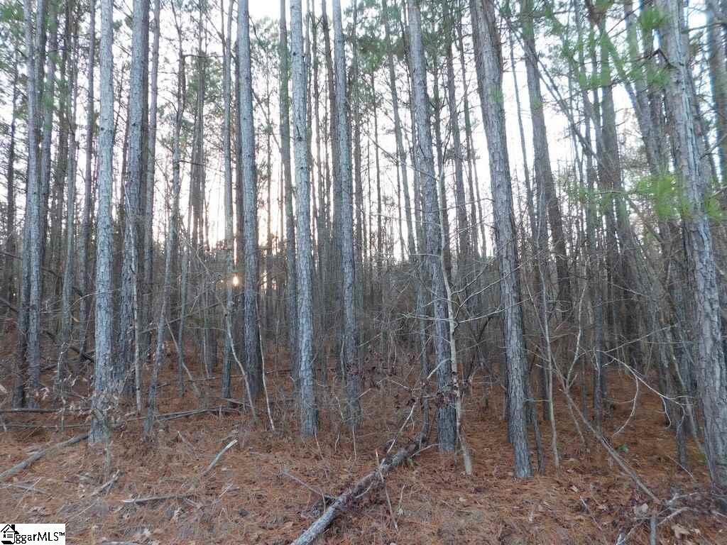575 Billy Leopard Road Cross Hill, SC 29332 - Photo 29 of 32 Gallery Image 29