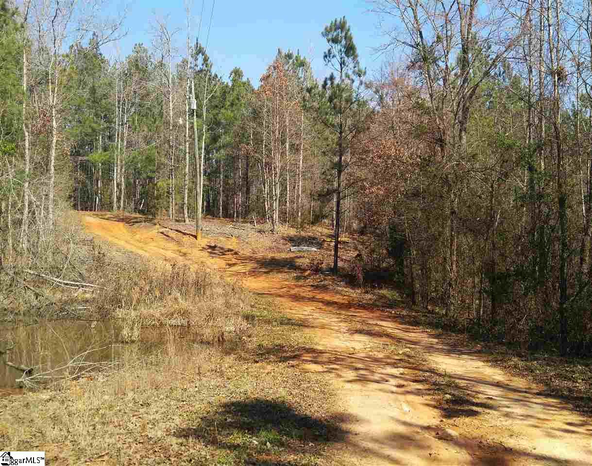 575 Billy Leopard Road Cross Hill, SC 29332 - Photo 6 of 32 Gallery Image 6
