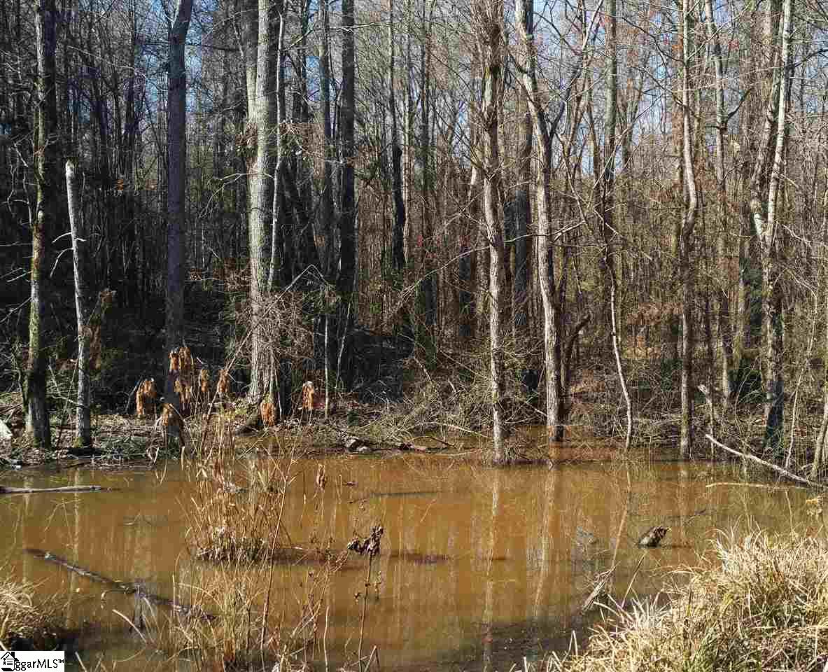575 Billy Leopard Road Cross Hill, SC 29332 - Photo 7 of 32 Gallery Image 7