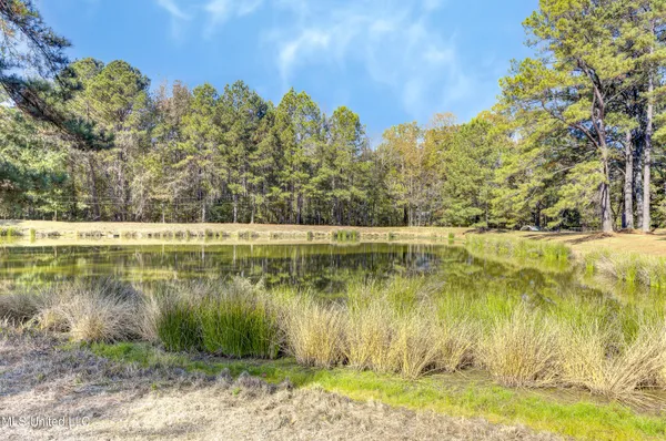 $485,000 | 704 Brenmar Street, Brandon, MS 39042