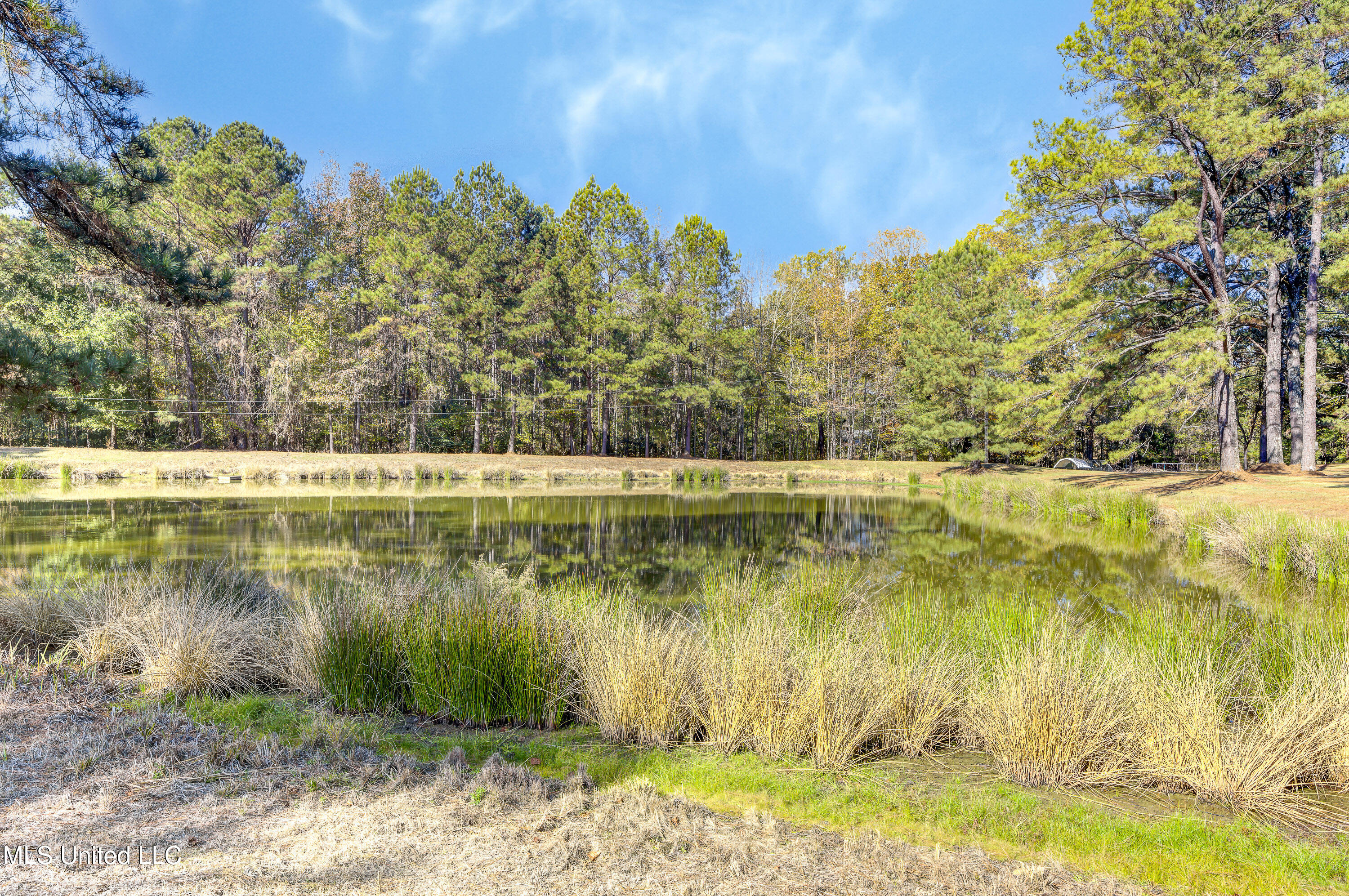 704 Brenmar Street Brandon, MS 39042 - Photo 47 of 49 Pond View