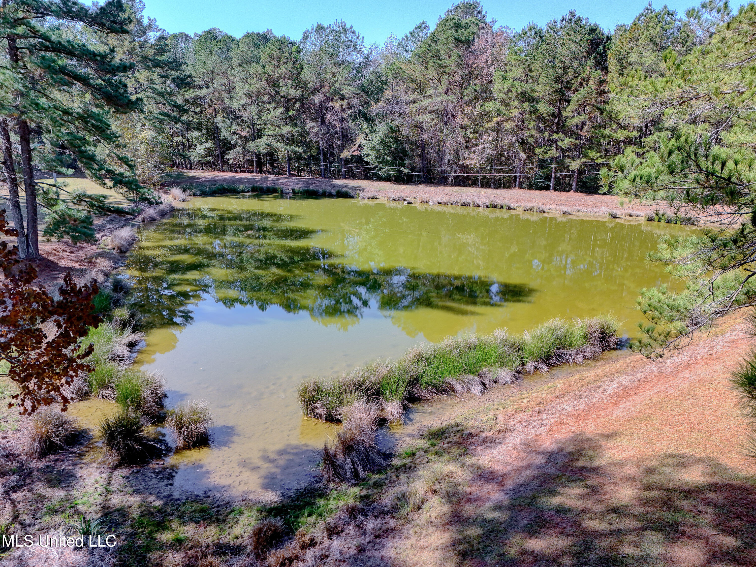 704 Brenmar Street Brandon, MS 39042 - Photo 48 of 49 Aerial Pond View 1