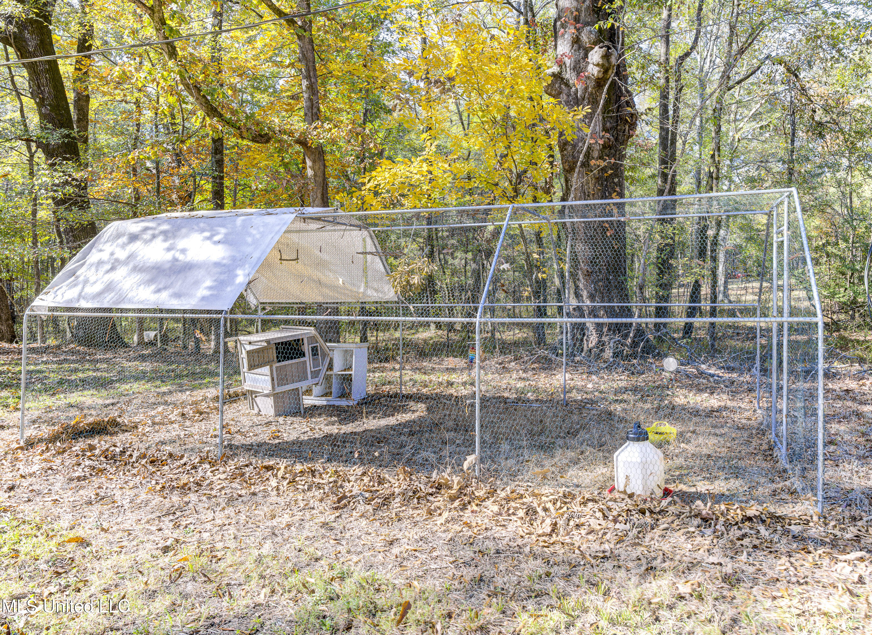 704 Brenmar Street Brandon, MS 39042 - Photo 49 of 49 Chicken Run