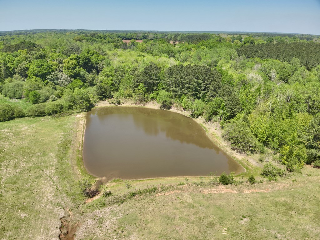 12.37-acres Huskey Road Dothan, AL 36303 - Photo 9 of 16