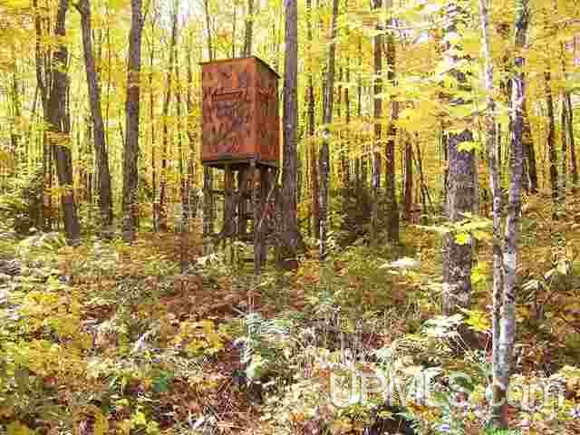 20892 Celotex Road Michigamme, MI 49861 - Photo 8 of 9