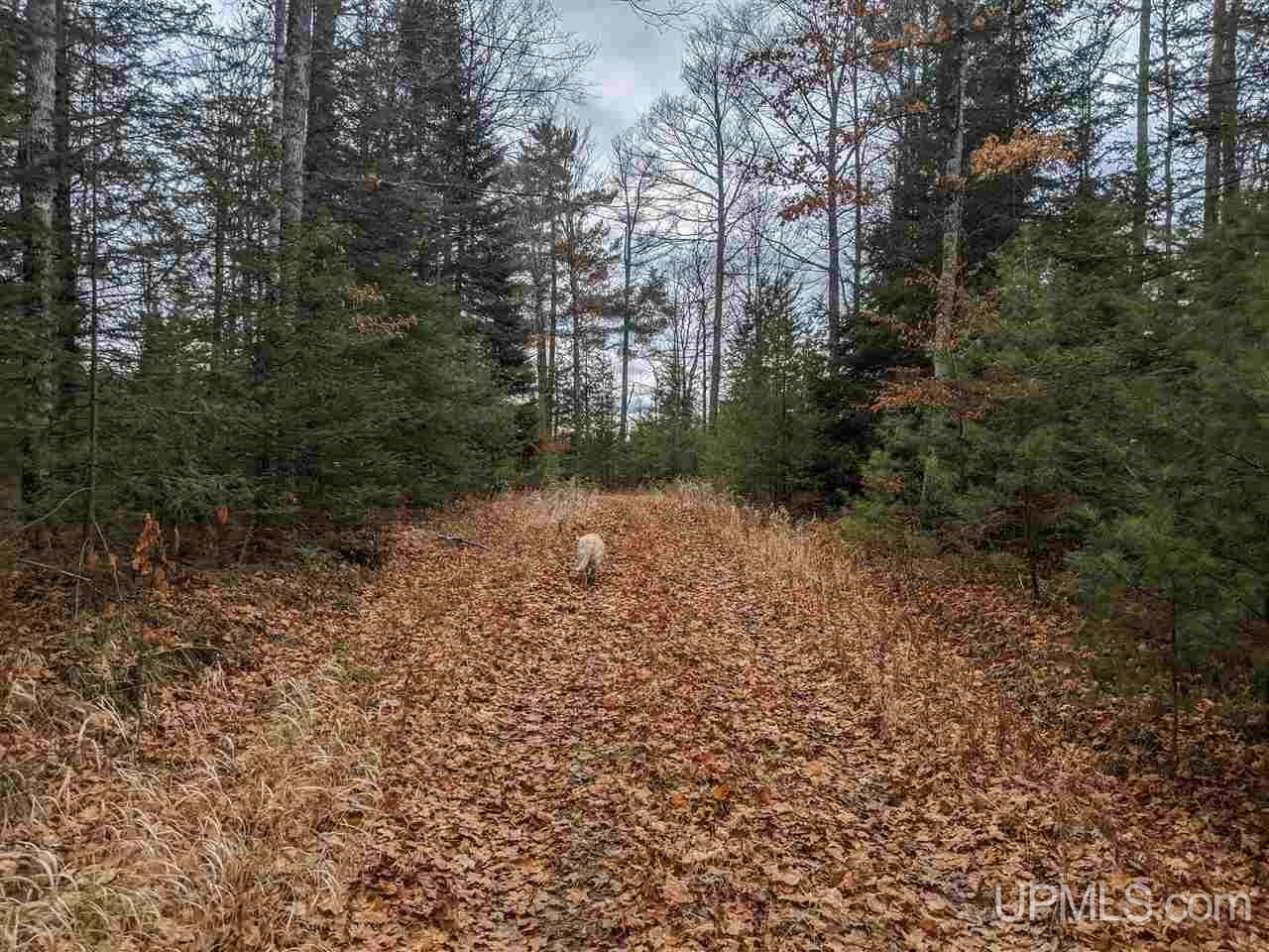 11851 Co Road Cornell, MI 49818 - Photo 47 of 49