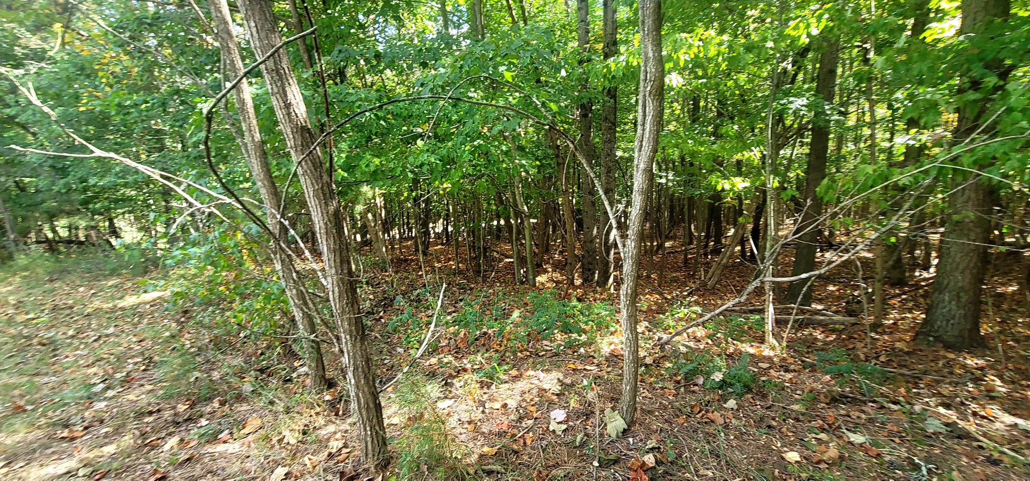 0 Sunset Road Rock Island, TN 38581 - Photo 7 of 20 Gallery Image 7