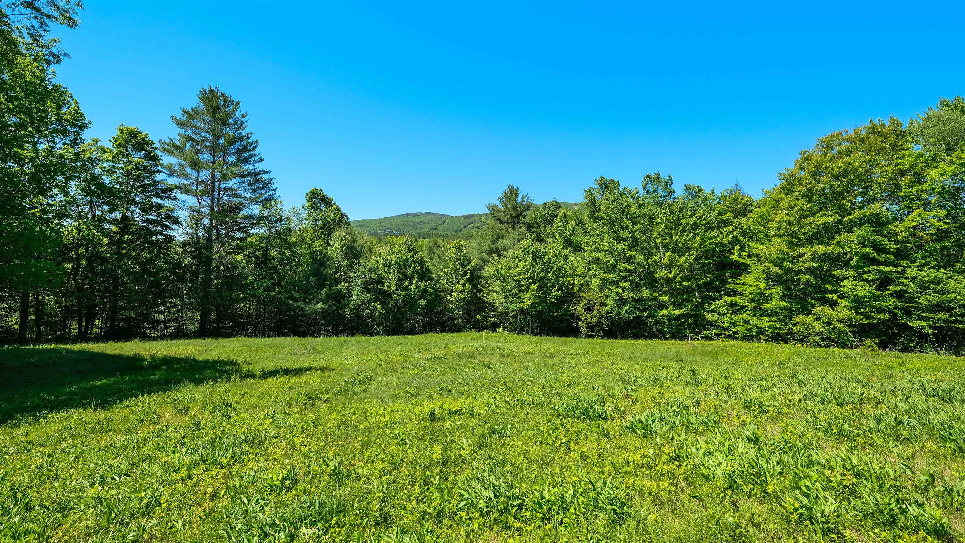 0 Rod And Gun Club Road, Unit 9 Ludlow, VT 05149 - Photo 10 of 25