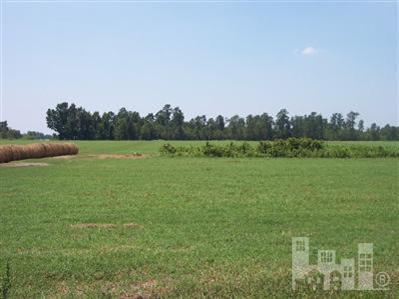 99999 Jackson Store Road Beulaville, NC 28518 - Photo 1 of 5 Additional Photo