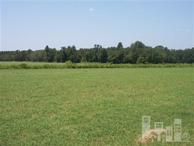 99999 Jackson Store Road Beulaville, NC 28518 - Photo 2 of 5 Primary Photo