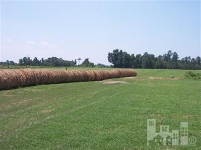 99999 Jackson Store Road Beulaville, NC 28518 - Photo 3 of 5 Additional Photo