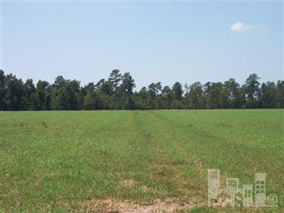 99999 Jackson Store Road Beulaville, NC 28518 - Photo 4 of 5 Additional Photo
