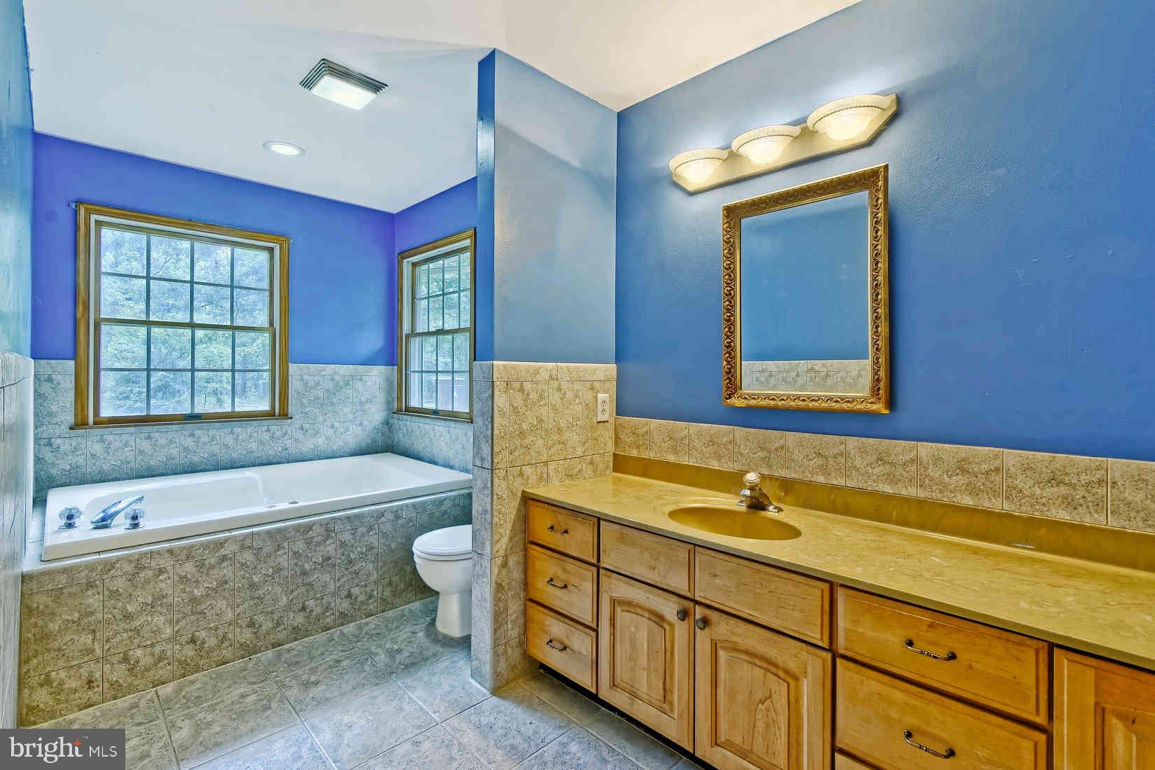 2801 Leaming Mill Road Millville, NJ 08332 - Photo 13 of 34 a bathroom with a sink and a bathtub