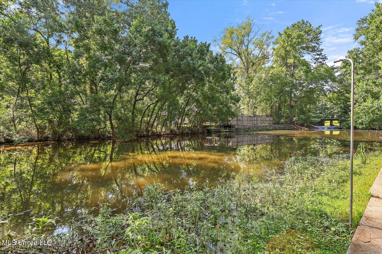 104 Holly Trail Brandon, MS 39047 - Photo 32 of 51 32-104 Holly Trail