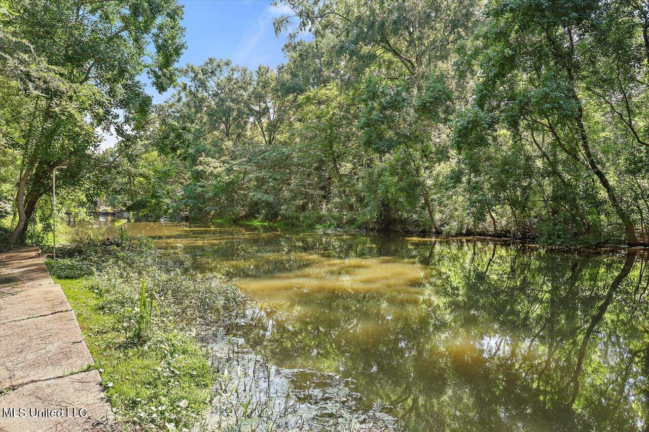 104 Holly Trail Brandon, MS 39047 - Photo 33 of 51 33-104 Holly Trail