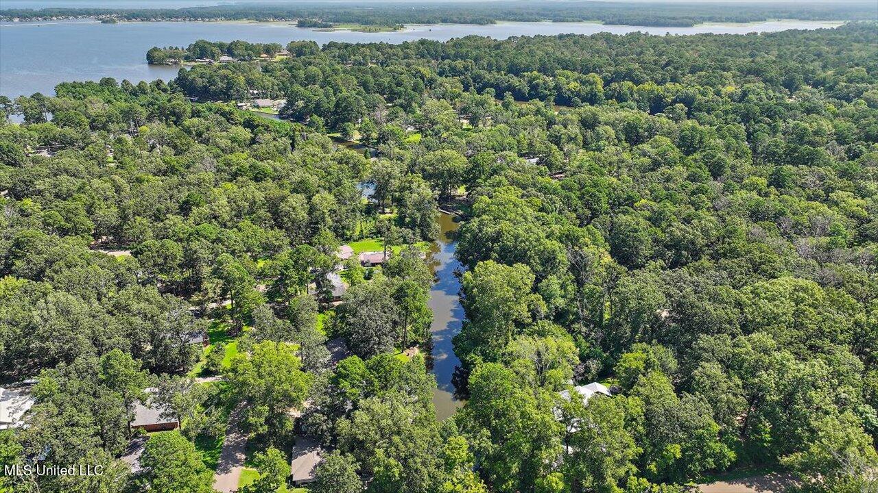 104 Holly Trail Brandon, MS 39047 - Photo 41 of 51 41-104 Holly Trail