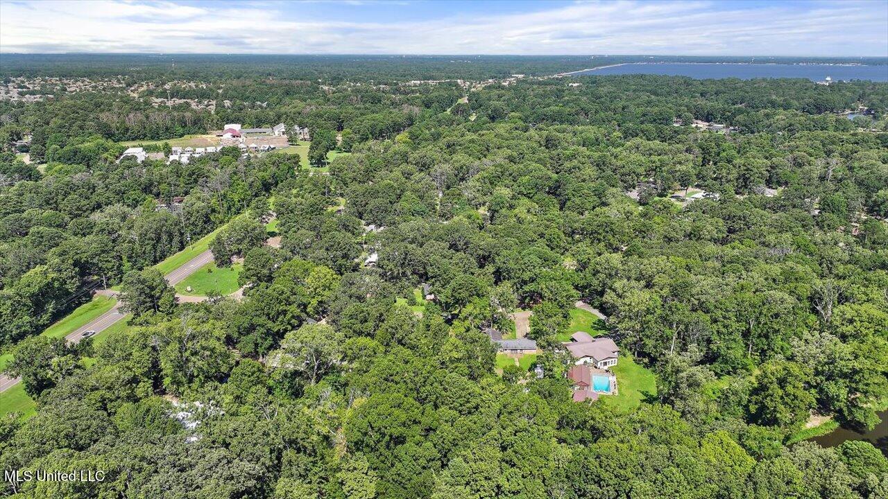 104 Holly Trail Brandon, MS 39047 - Photo 44 of 51 44-104 Holly Trail