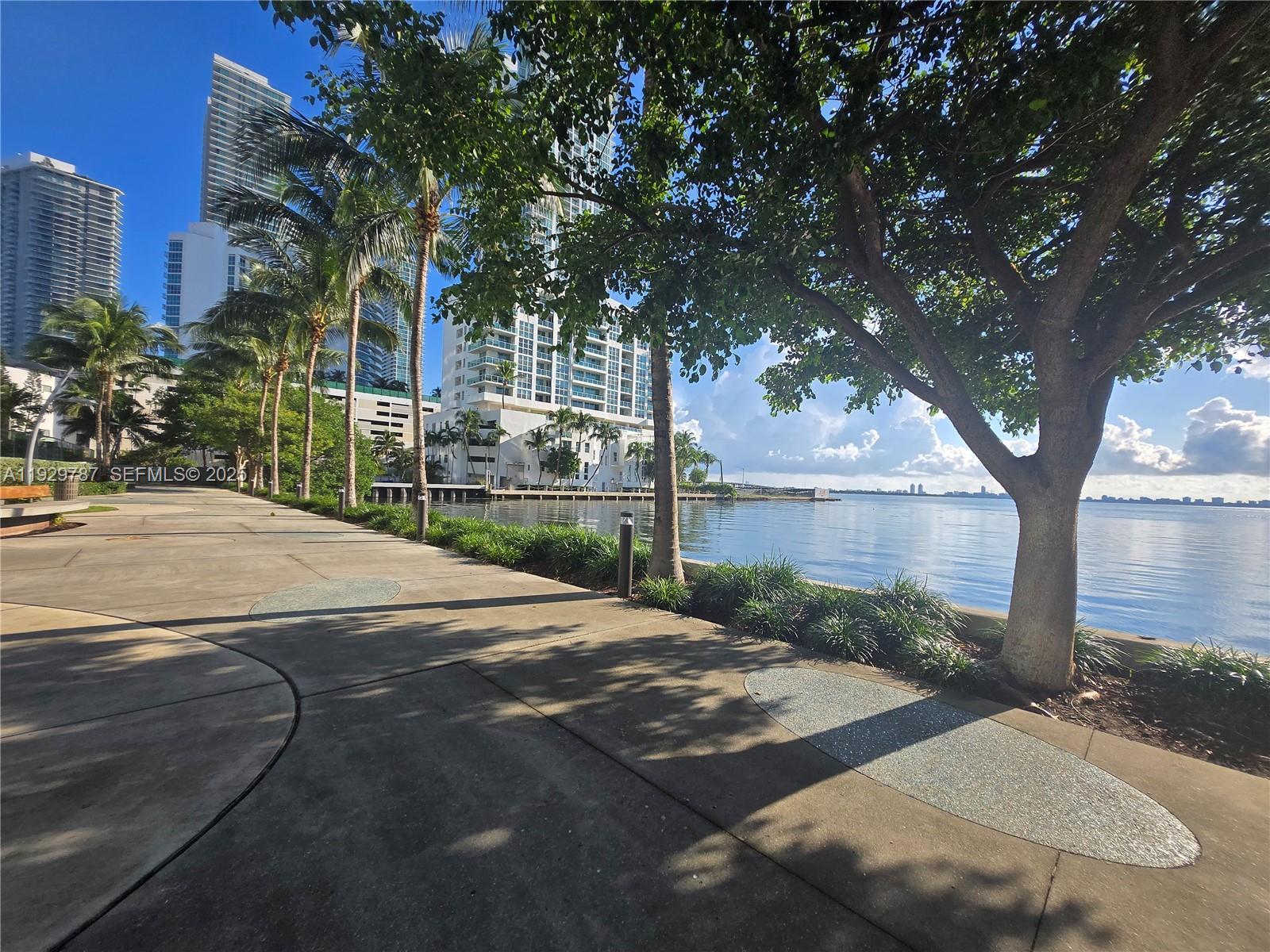 460 Northeast 28th Street, Unit 2407 Miami, FL 33137 - Photo 48 of 50 a view of a backyard with large trees