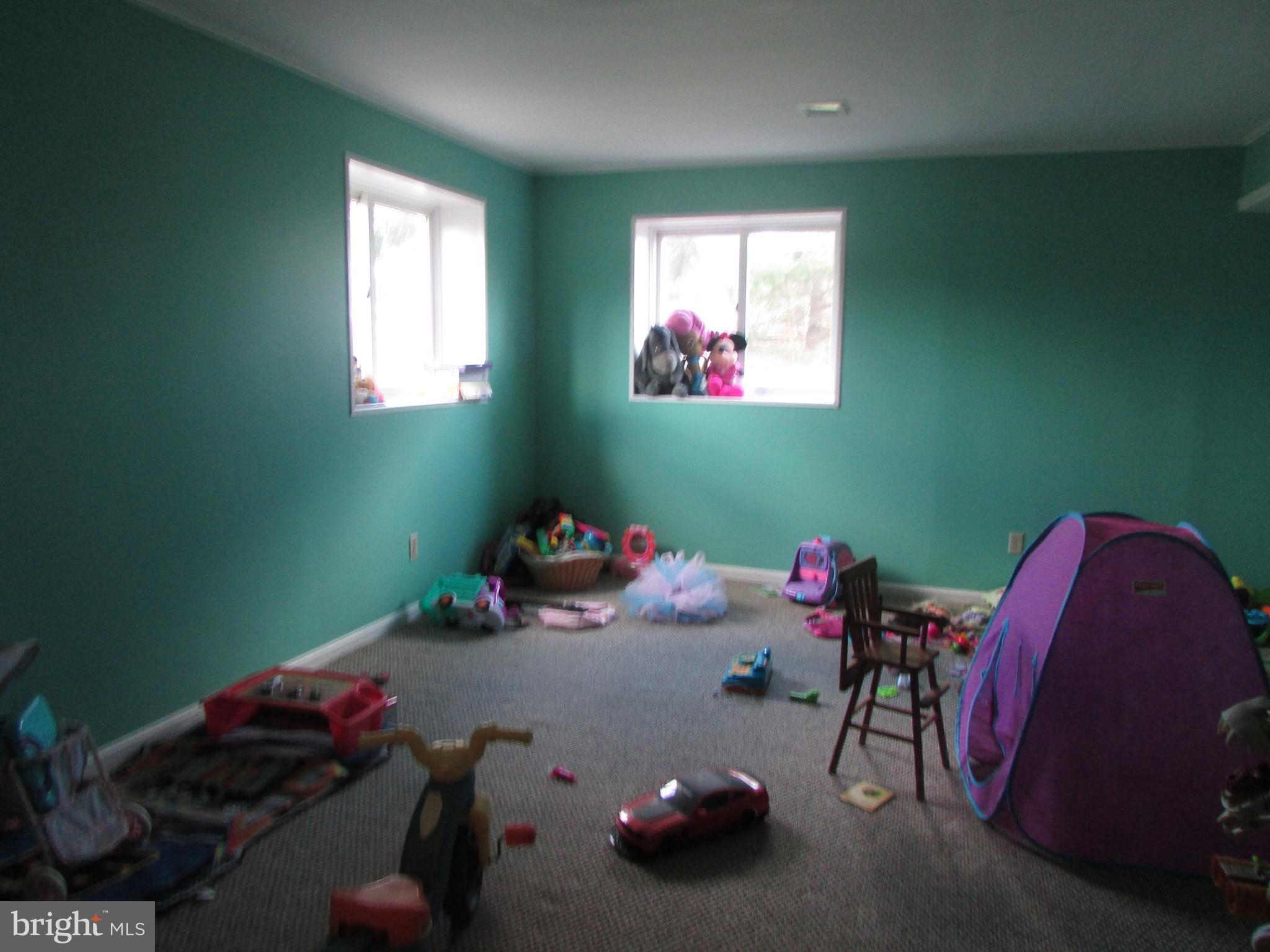 120 Sheaffer Road Chestertown, MD 21620 - Photo 19 of 24 Basement
