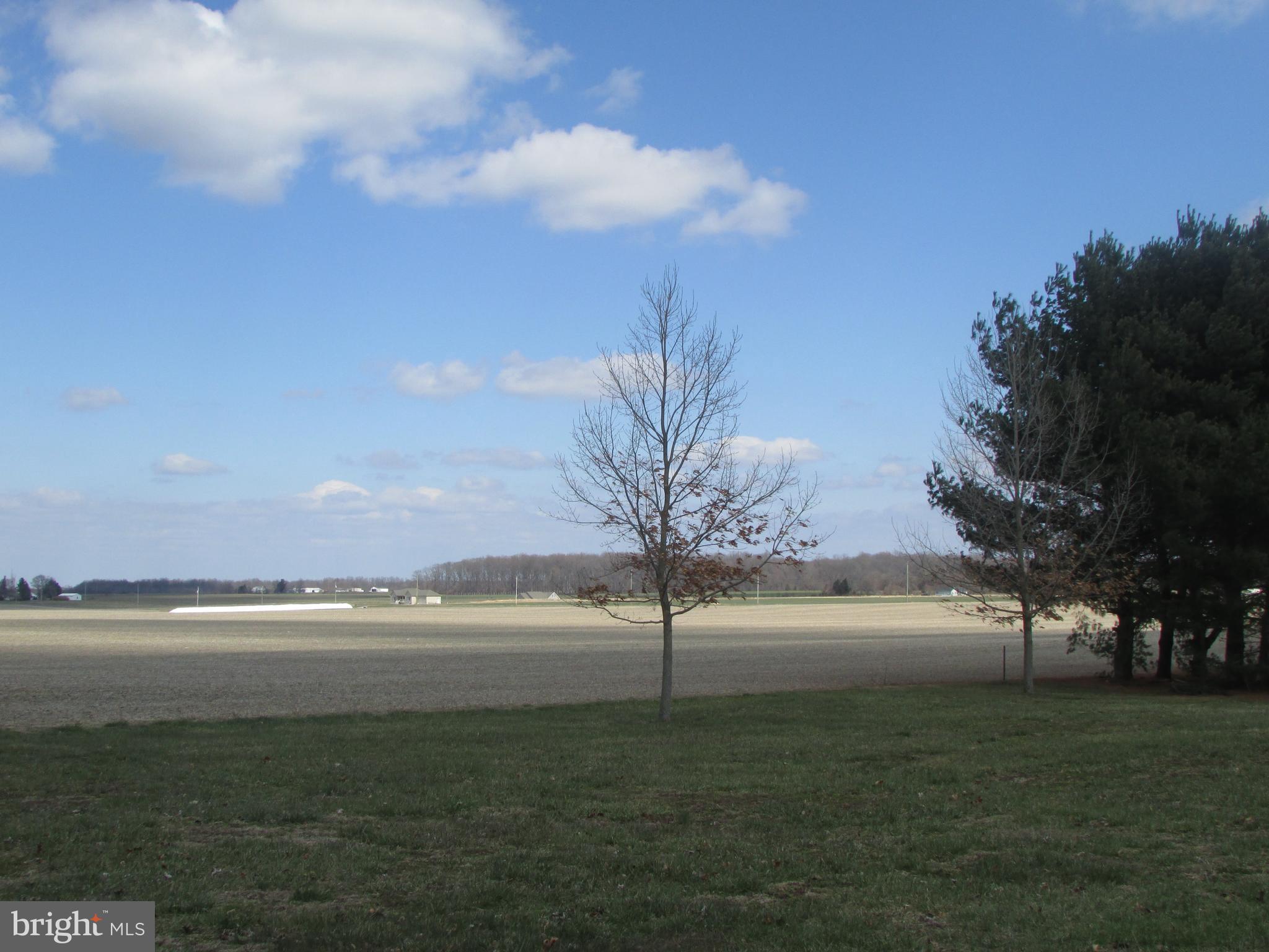 120 Sheaffer Road Chestertown, MD 21620 - Photo 21 of 24 Farmland