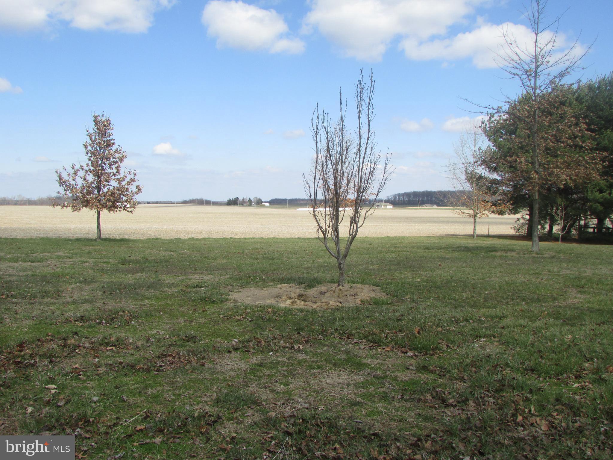 120 Sheaffer Road Chestertown, MD 21620 - Photo 22 of 24 View of yard