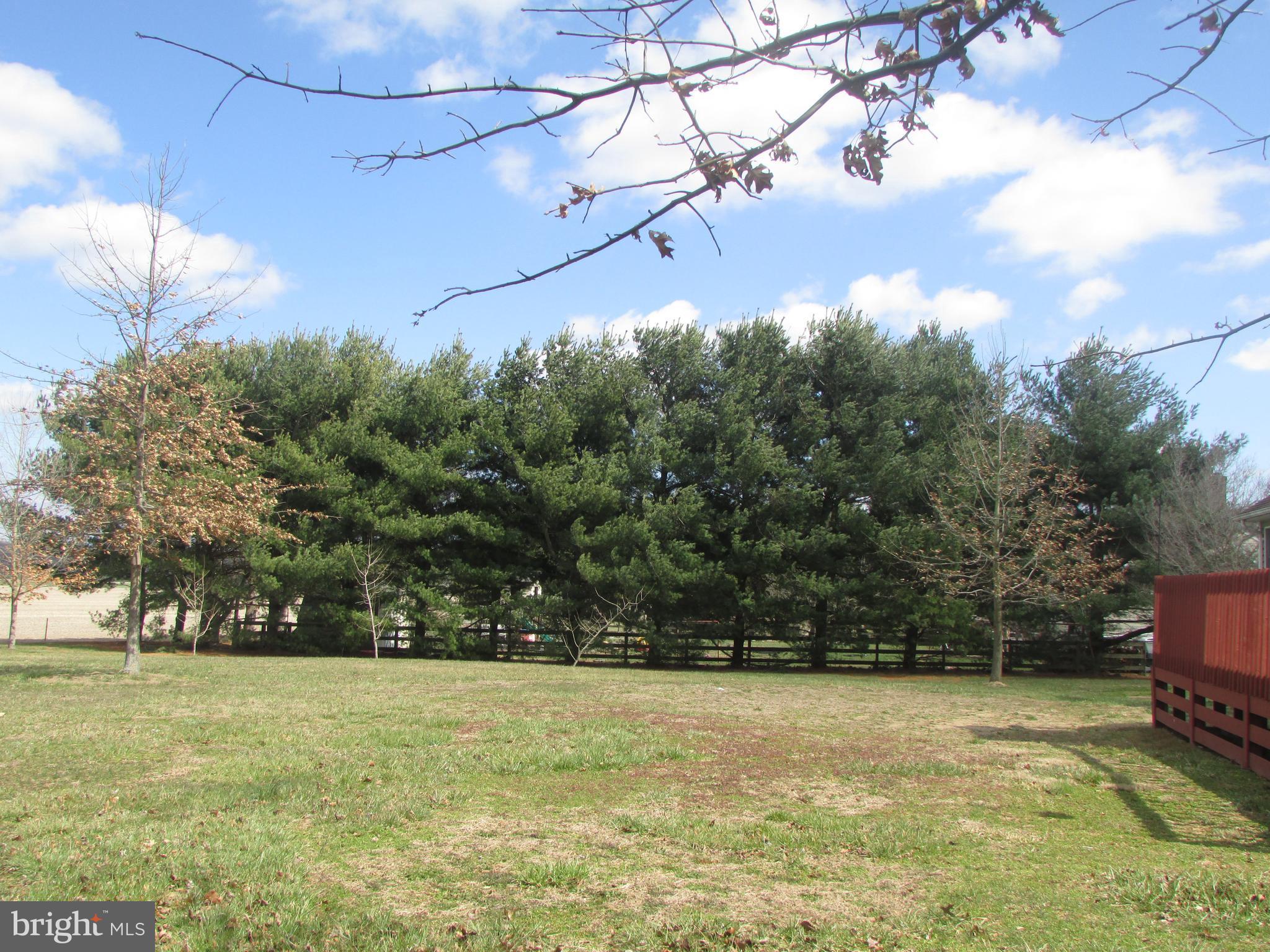 120 Sheaffer Road Chestertown, MD 21620 - Photo 23 of 24 View of yard