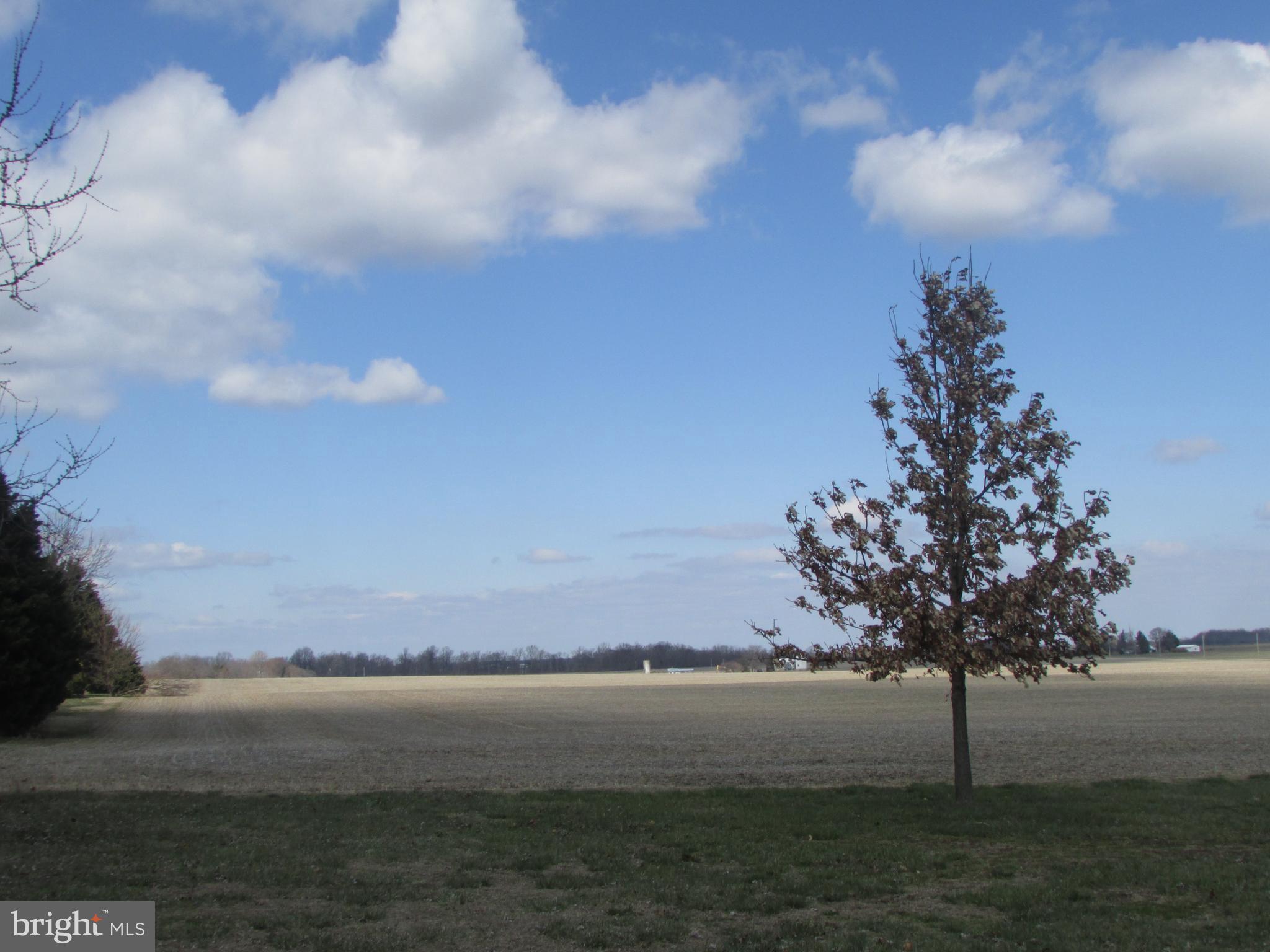 120 Sheaffer Road Chestertown, MD 21620 - Photo 24 of 24 View from deck farmland