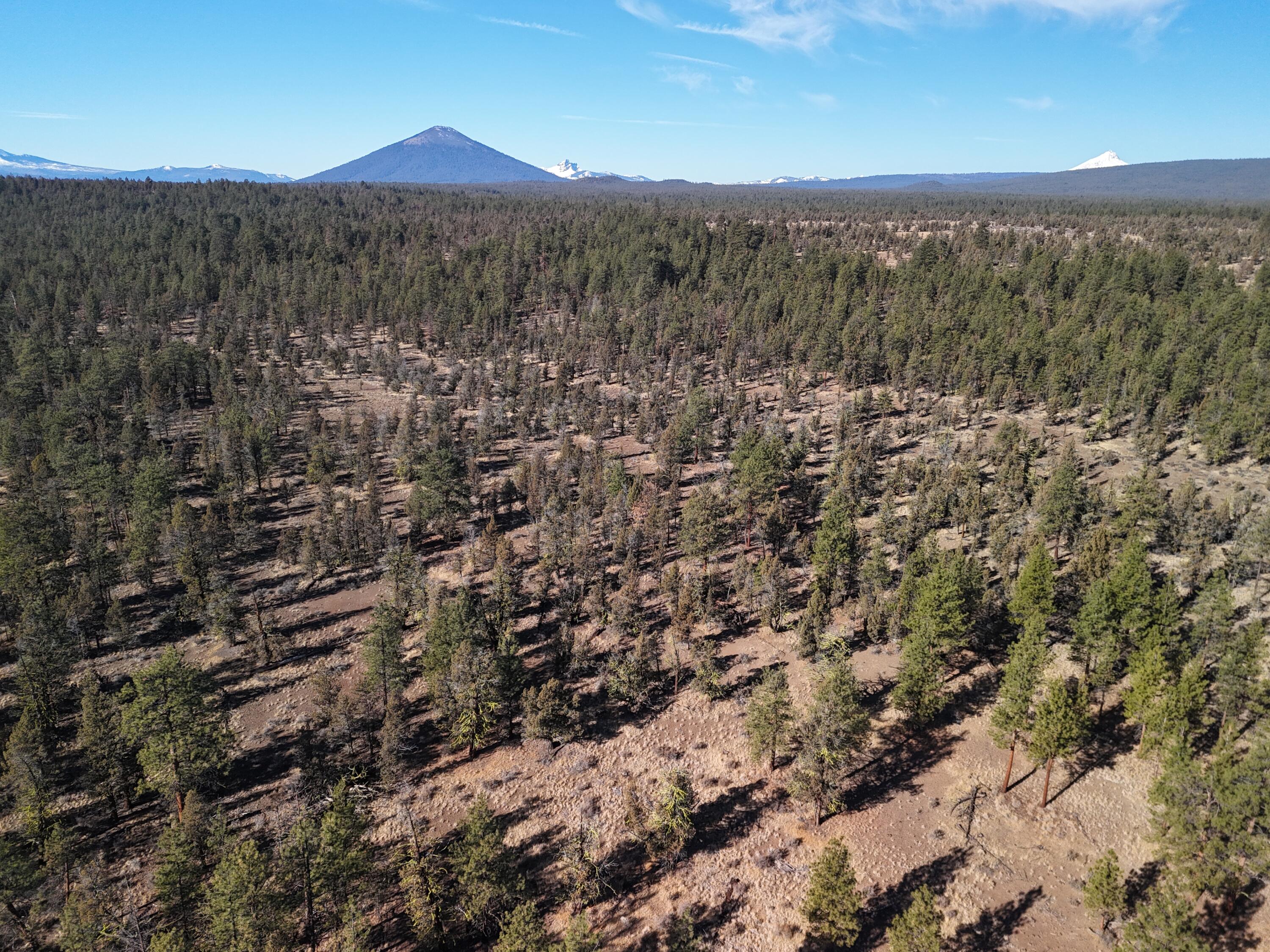 17390 Big Buck Road Sisters, OR 97759 - Photo 31 of 35 DJI_20241107112415_0012_D