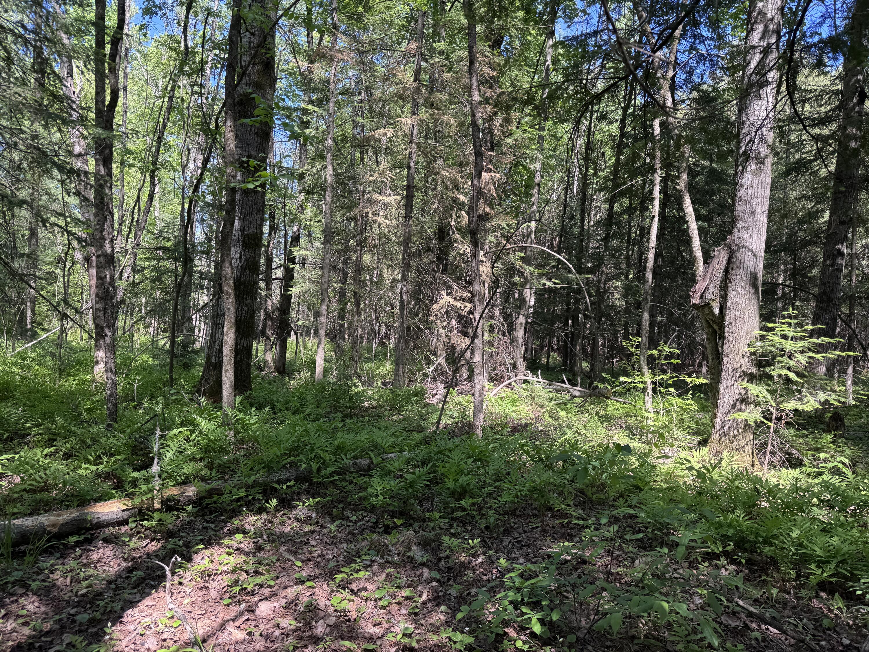1.68-ac Peterson Road Wausaukee, WI 54177 - Photo 12 of 41 12
