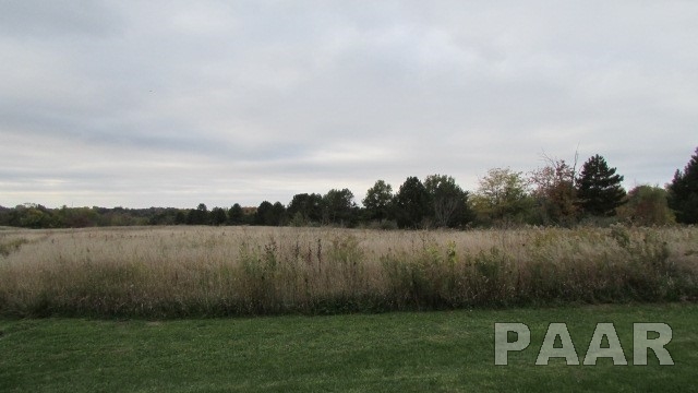 225 Legion Road Washington, IL 61571 - Photo 1 of 18 Gallery Image 1