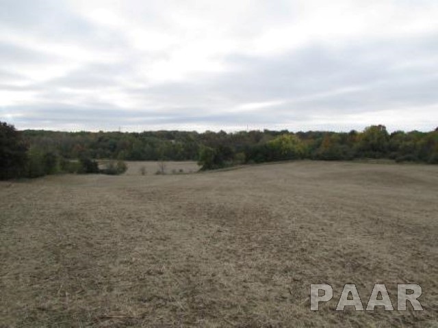 225 Legion Road Washington, IL 61571 - Photo 16 of 18 Gallery Image 16
