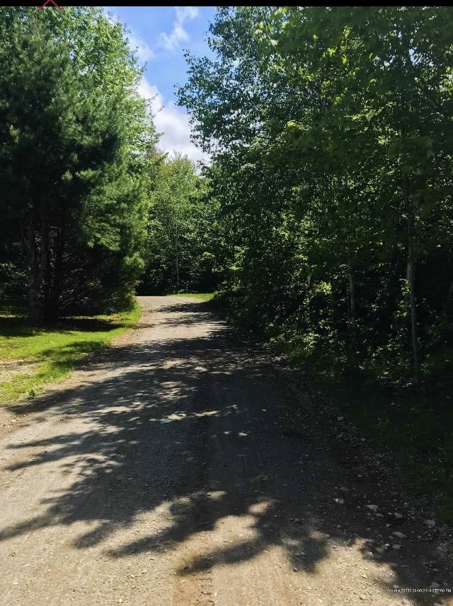630 Springy Pond Road Ellsworth, ME 04605 - Photo 6 of 27 IMG_1213