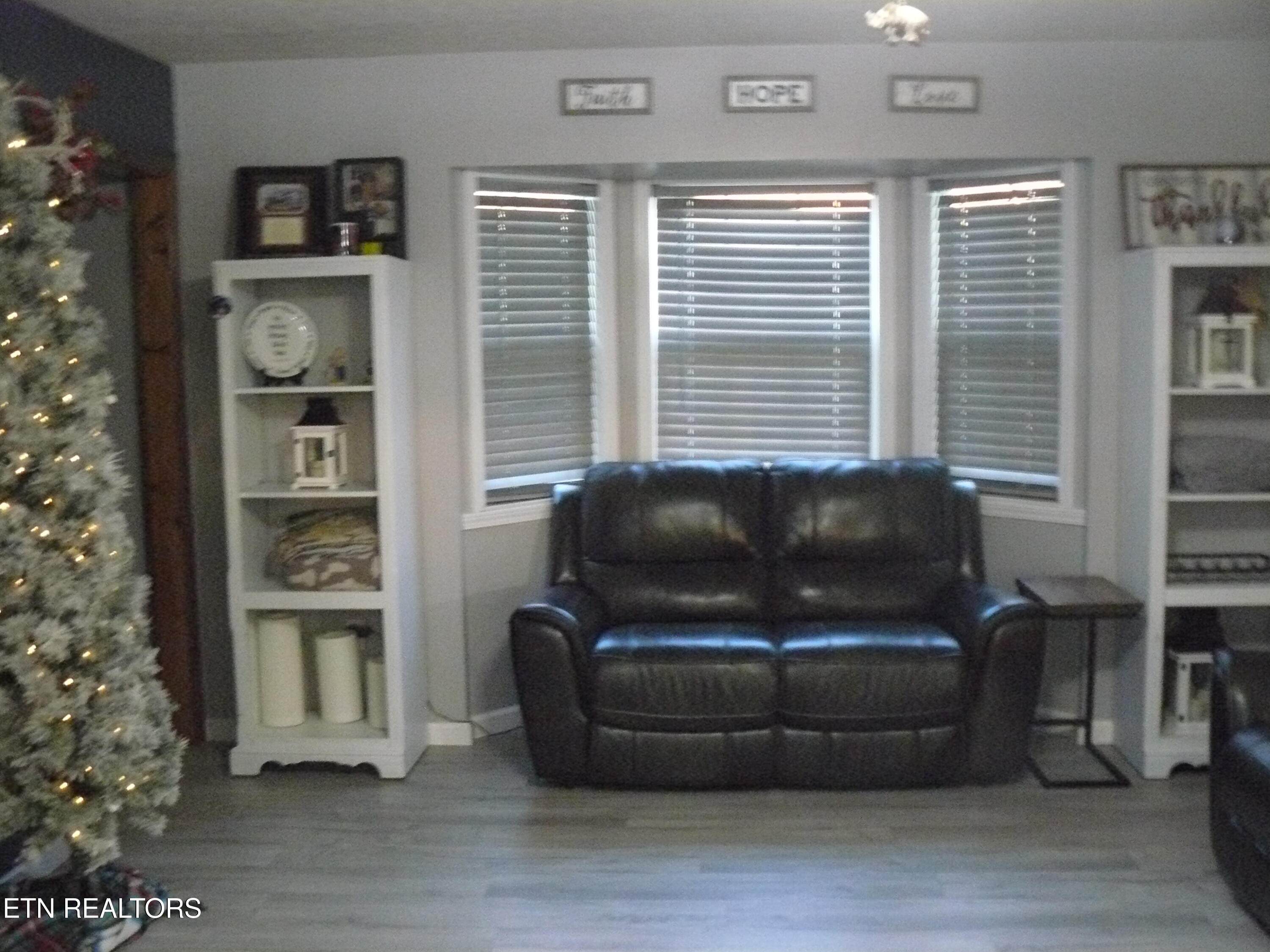 216 Mountain Road New Tazewell, TN 37825 - Photo 12 of 28 P1430478