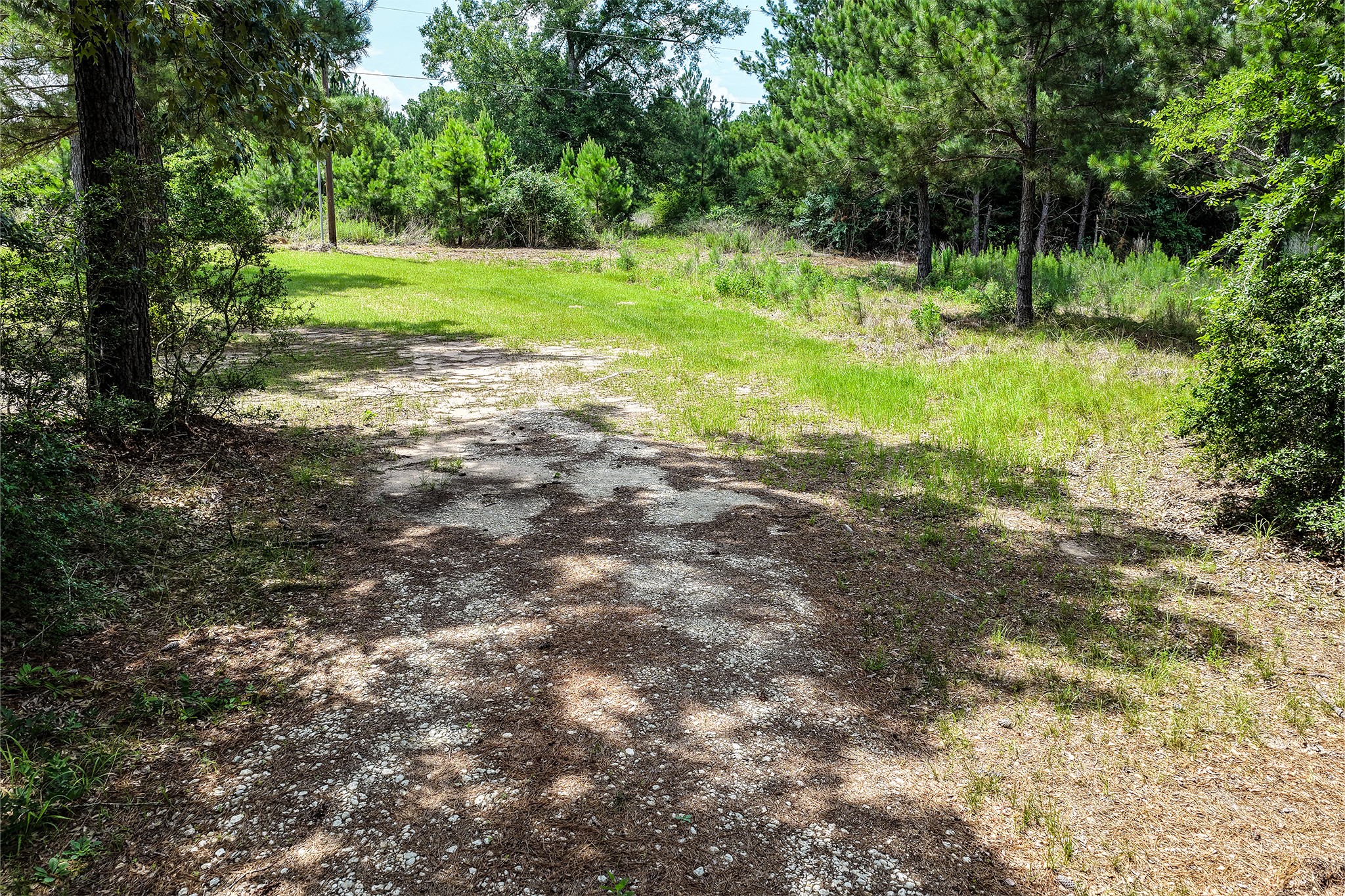 691 Bishop Road Huntsville, TX 77320 - Photo 28 of 32 a view of a garden with a tree