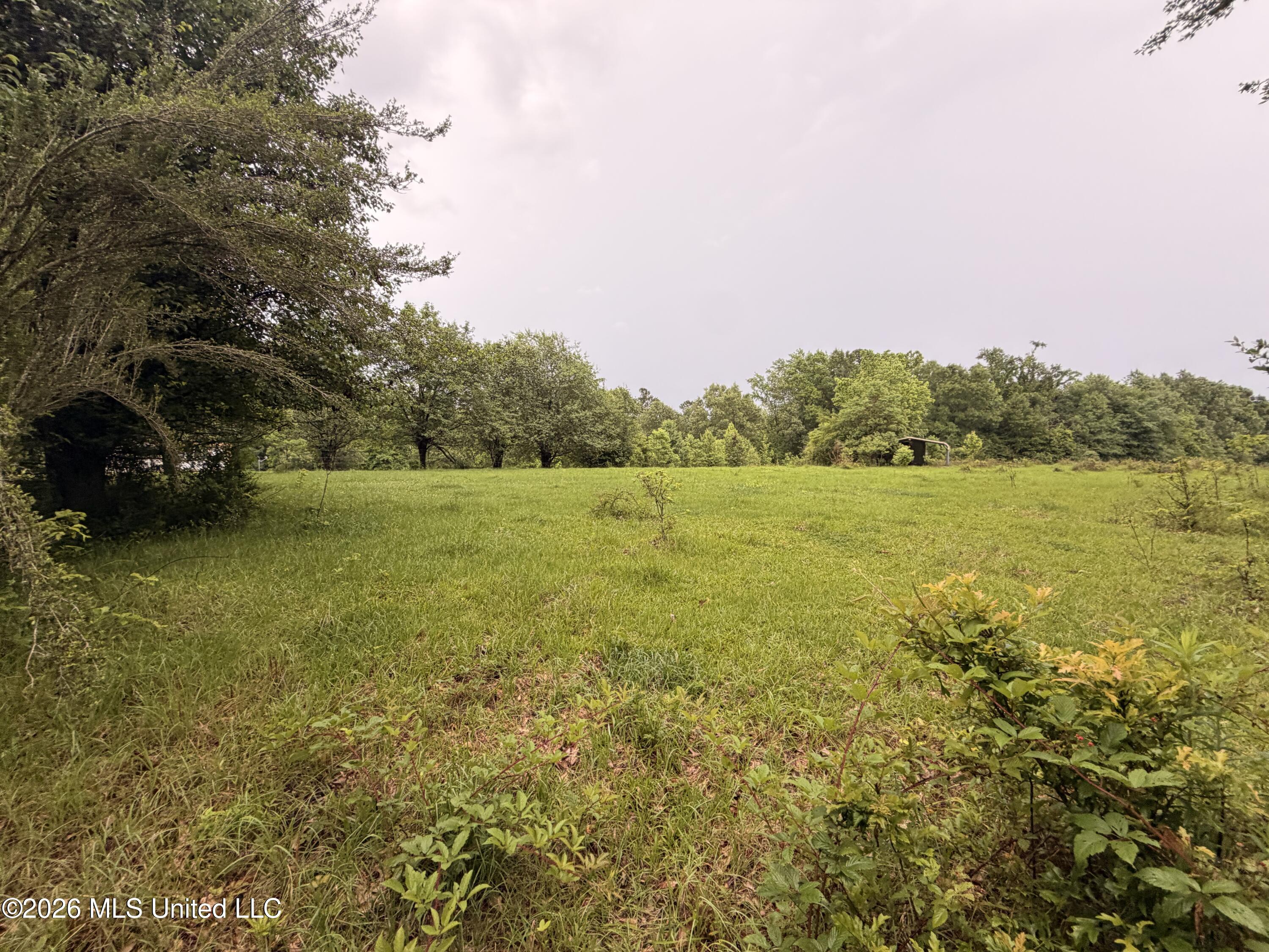 82 Sandpiper Road Roxie, MS 39661 - Photo 1 of 4 IMG_4650