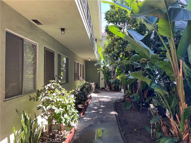 a plant with a plant in front of it