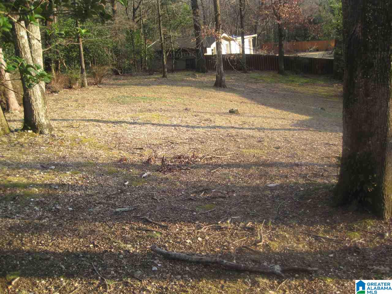 2441 5th Street Northwest Center Point, AL 35215 - Photo 3 of 15
