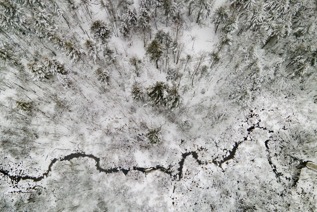 750 Teel Road Winchendon, MA 01475 - Photo 17 of 41