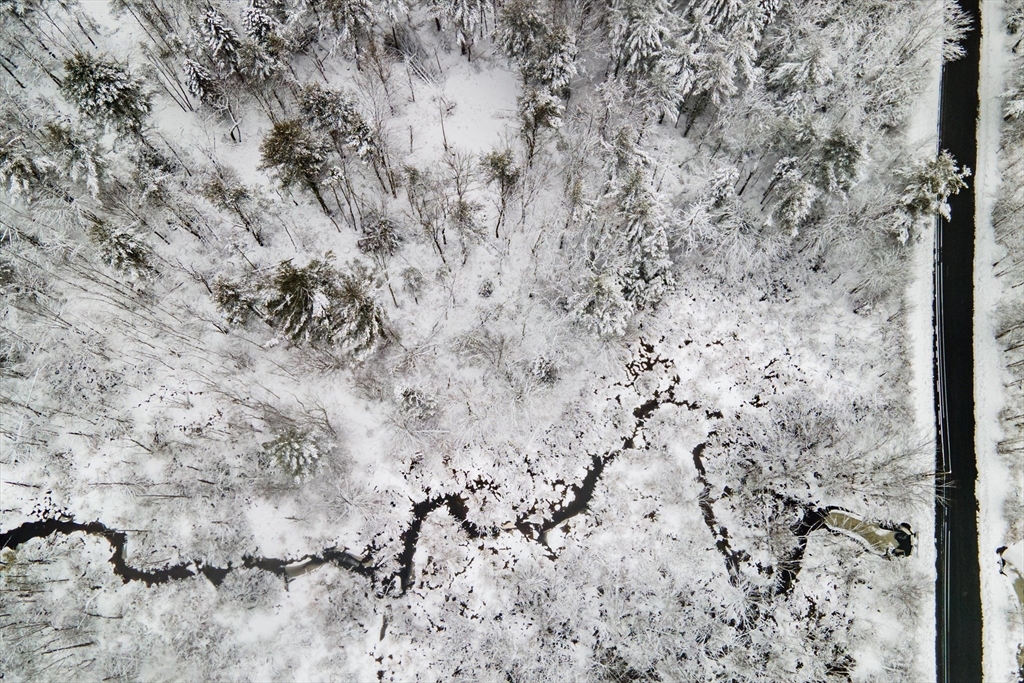 750 Teel Road Winchendon, MA 01475 - Photo 18 of 41 a view of a dry yard