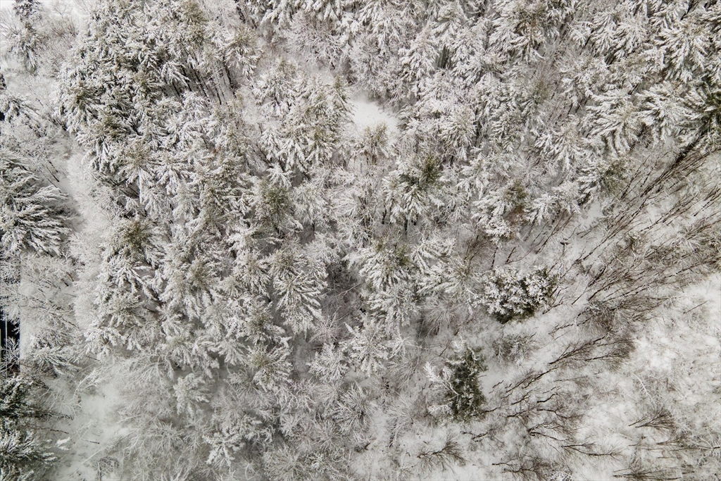 750 Teel Road Winchendon, MA 01475 - Photo 20 of 41 a close up of a wall with a dry yard