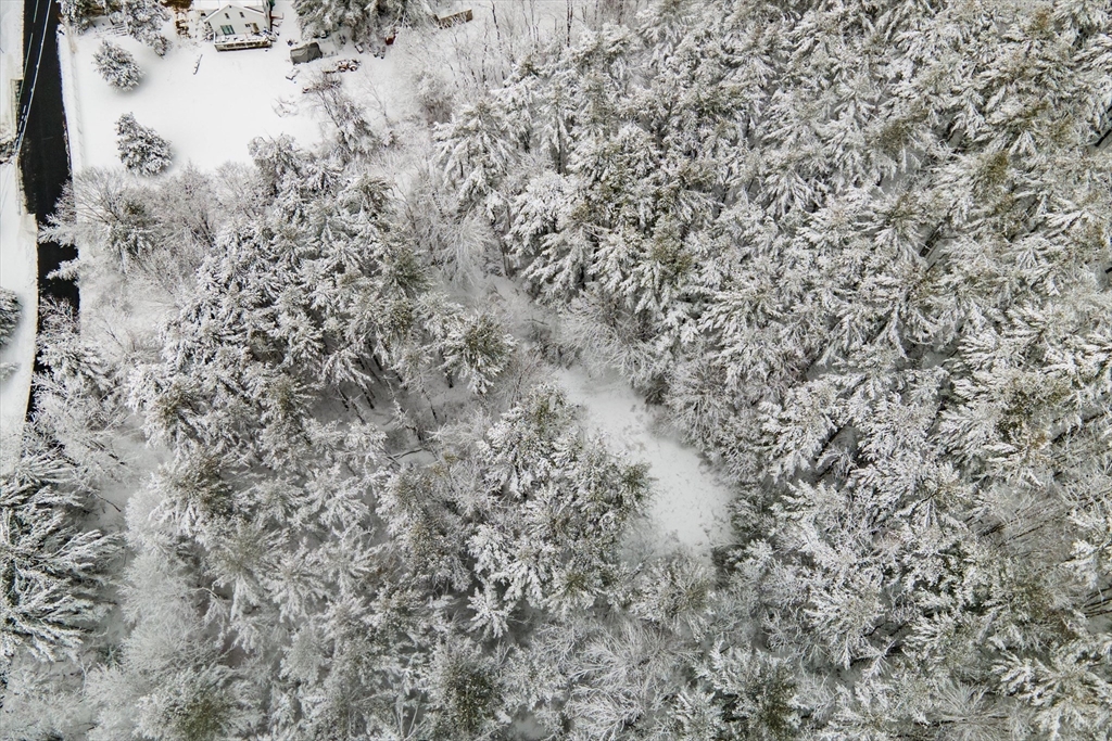 750 Teel Road Winchendon, MA 01475 - Photo 21 of 41 a view of a dry yard with green space